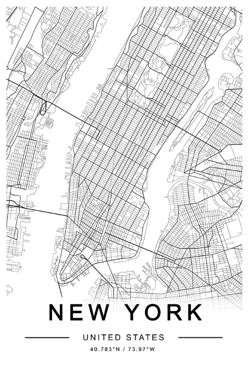 Picture of NEW YORK  MAP