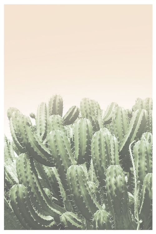 Picture of BOHO CACTUS NO.4