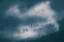 Picture of FOG