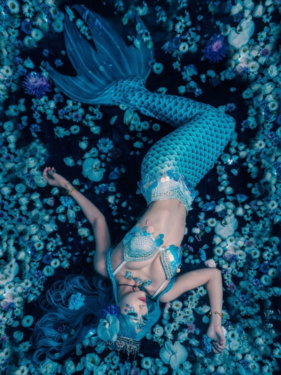 Picture of A MERMAID DREAMING OF A STARRY SKY