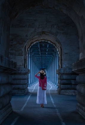 Picture of PONT DE BIR-HAKEIM IN BLUE