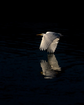 Picture of EGRET