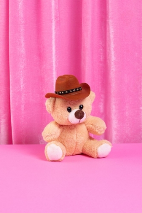 Picture of COWBOY TEDDY BEAR