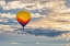 Picture of FREEDOM IS IN THE AIR