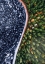 Picture of FOREST SEASONS CHANGE