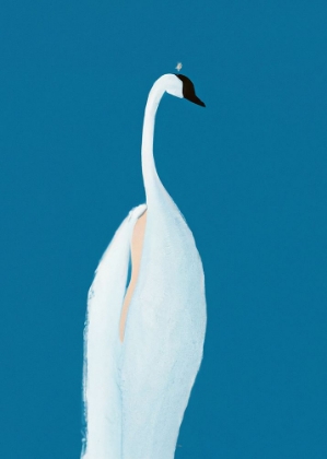 Picture of SWAN MAYBE