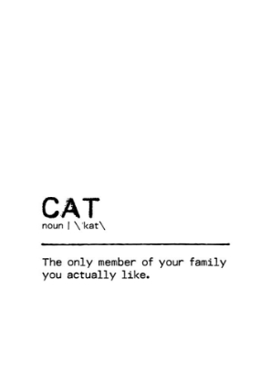 Picture of QUOTE CAT FAMILY