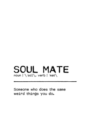Picture of QUOTE SOUL MATE WEIRD