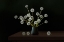 Picture of STILL LIFE 2326
