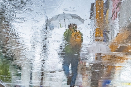 Picture of UMBRELLA IN THE RAIN