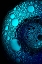 Picture of SEMI BUBBLES