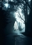 Picture of GHOST HALLOWEEN IN THE DARK ROAD