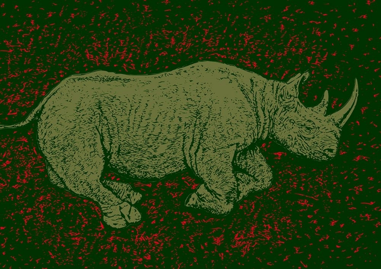 Picture of BLACK RHINO ENDANGERED
