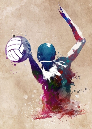 Picture of WATER POLO SPORT ART