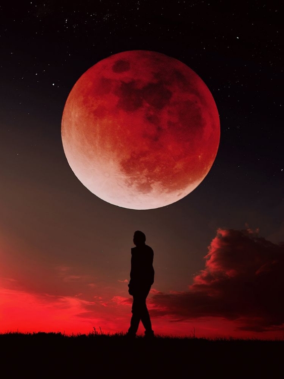 Picture of RED FULL MOON