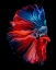 Picture of FLOATING