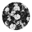 Picture of BOWIE BLOOMS BLACK A WHITE