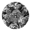 Picture of PAISLEY BLOOMS A CROWN BLACK A WHITE