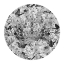 Picture of CANDY BLOOMS A CROWN BLACK A WHITE