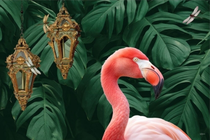 Picture of FLAMINGO A DRAGONFLIES
