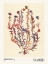 Picture of WATERCOLOR PRINT COLLECTION. FLOWER MARKET - MADRID