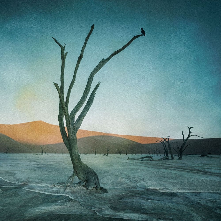 Picture of DEADVLEI