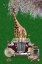 Picture of GIRAFFE WILL TRAVEL