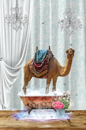 Picture of CAMEL A BUBBLES