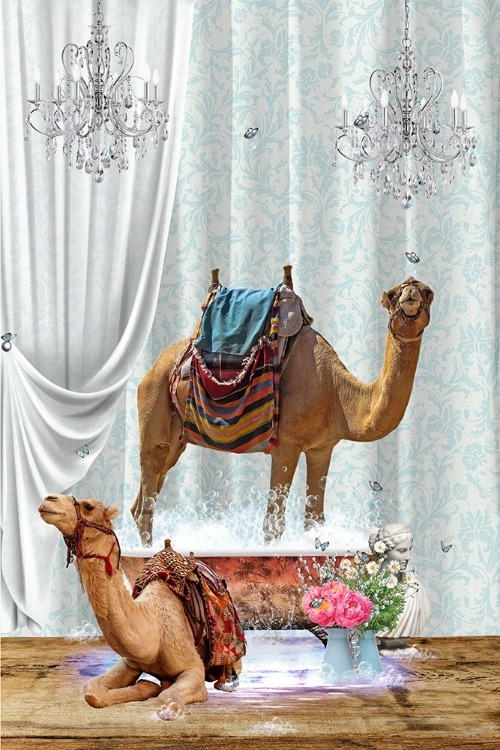 Picture of CAMELS A BUBBLES