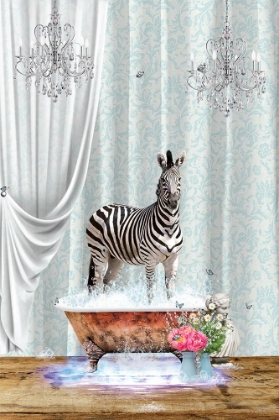 Picture of ZEBRA A BUBBLES