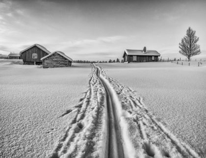 Picture of THE WINTER IS HERE - NORWAY