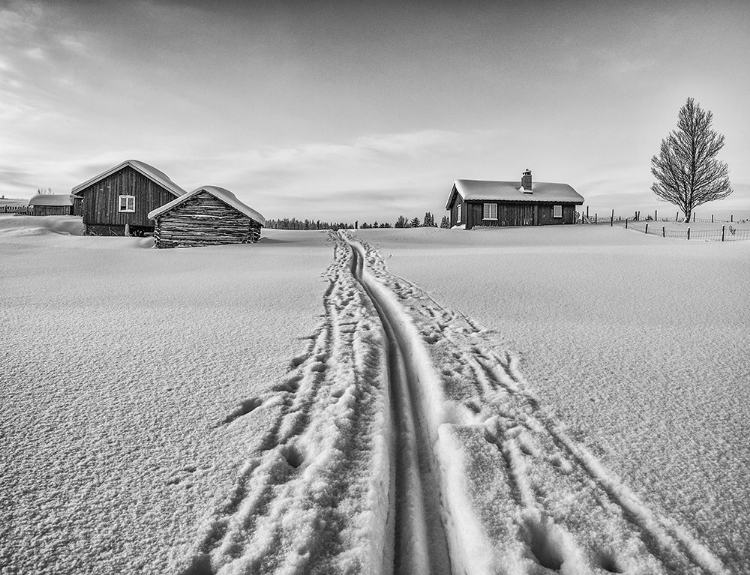 Picture of THE WINTER IS HERE - NORWAY