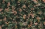Picture of JUNGLE PATTERN 1