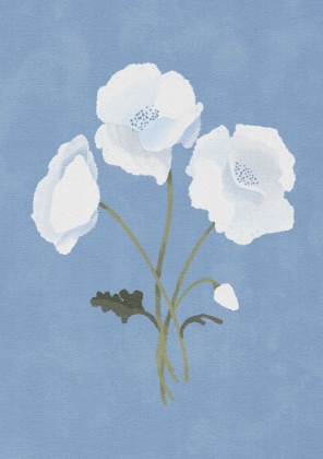 Picture of WHITE ON BLUE