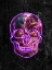 Picture of NEON HALLOWEEN SKULL