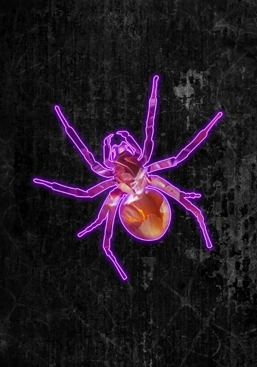 Picture of NEON HALLOWEEN SPIDER