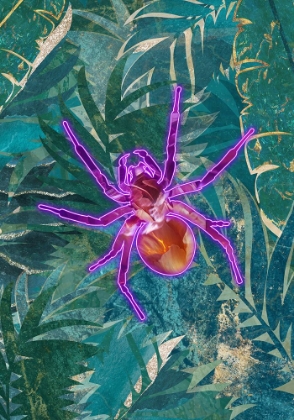 Picture of NEON SPIDER IN THE JUNGLE