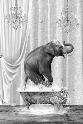 Picture of ELEPHANT A BUBBLES BLACK A WHITE