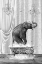 Picture of ELEPHANT A BUBBLES BLACK A WHITE