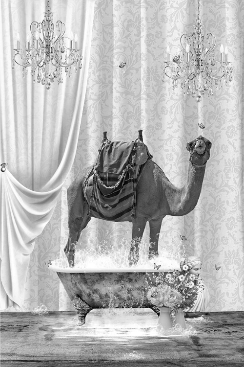 Picture of CAMEL A BUBBLES BLACK A WHITE