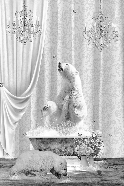 Picture of POLAR BEARS A BUBBLES BLACK A WHITE