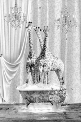 Picture of THREE GIRAFFES A BUBBLES BLACK A WHITE