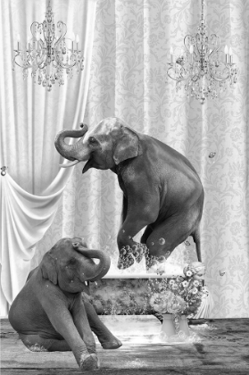 Picture of ELEPHANTS A BUBBLES BLACK A WHITE