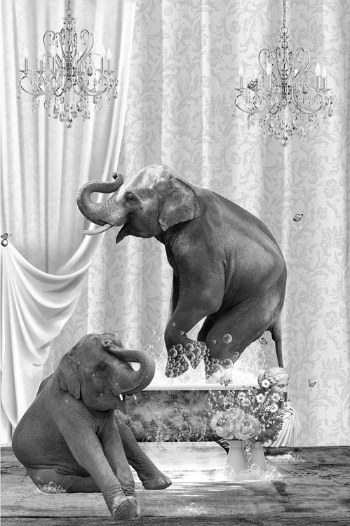 Picture of ELEPHANTS A BUBBLES BLACK A WHITE