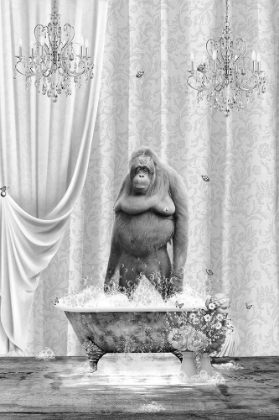 Picture of ORANGUTAN A BUBBLES BLACK A WHITE