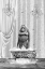 Picture of ORANGUTAN A BUBBLES BLACK A WHITE