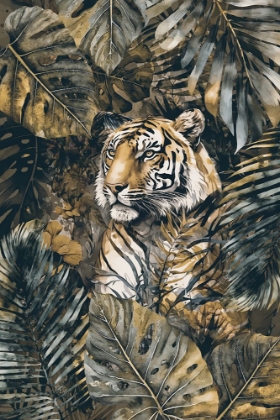 Picture of JUNGLE TIGER II