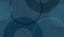 Picture of PALM CIRCLES