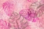 Picture of TROPICS EMBELLISHMENT PINK