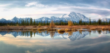 Picture of REFLECTION OF DENALI MOUNTAINS IN AUTUMN